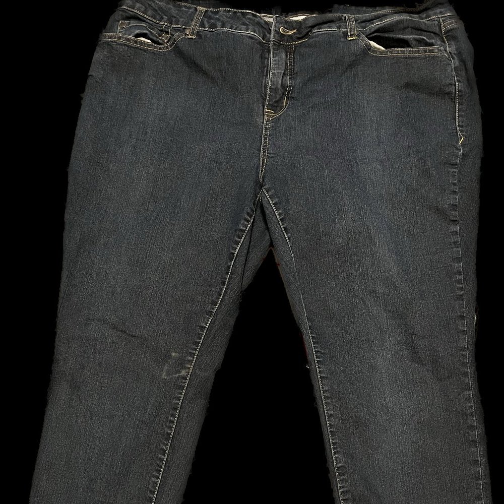 Torrid Denim Jeans
